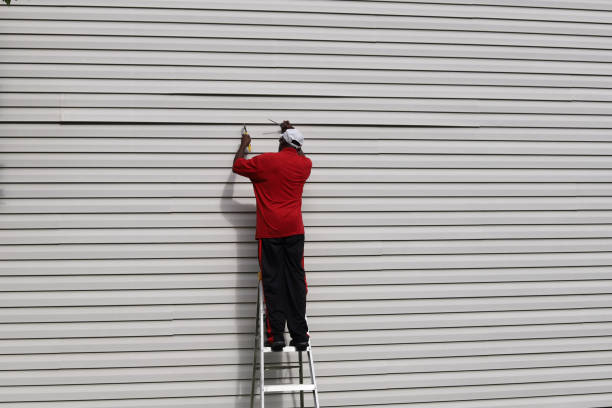 Best Stucco Siding  in Pocola, OK