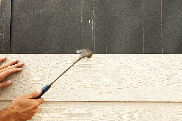 Best Fascia and Soffit Installation  in Pocola, OK